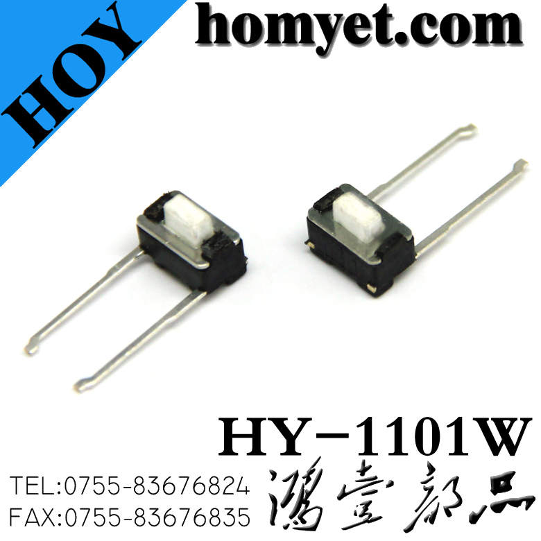 HY-1101W