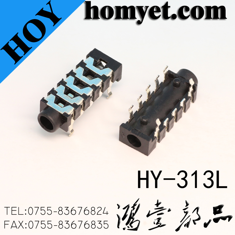 HY-313L