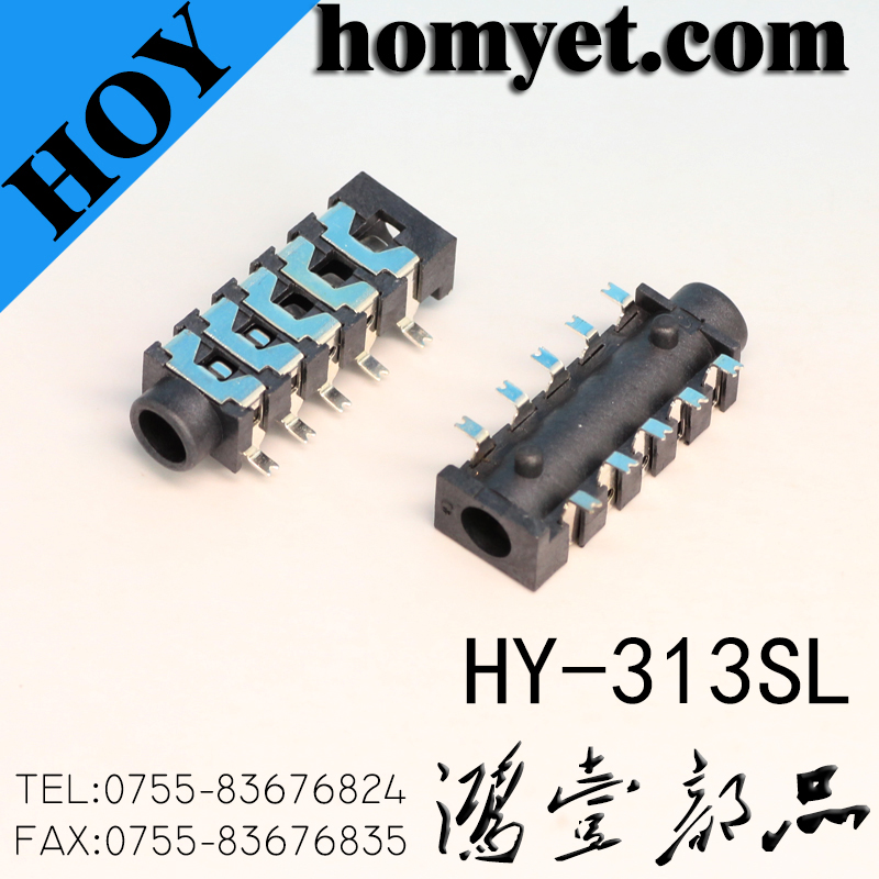 HY-313SL
