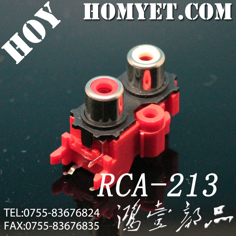 RCA-213