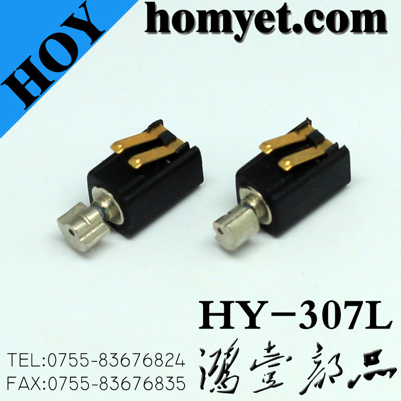 HY-307L