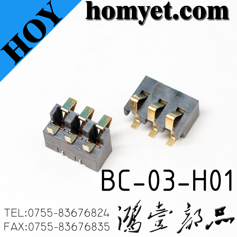 BC-03-H01