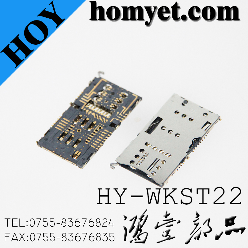 HY-WKST22