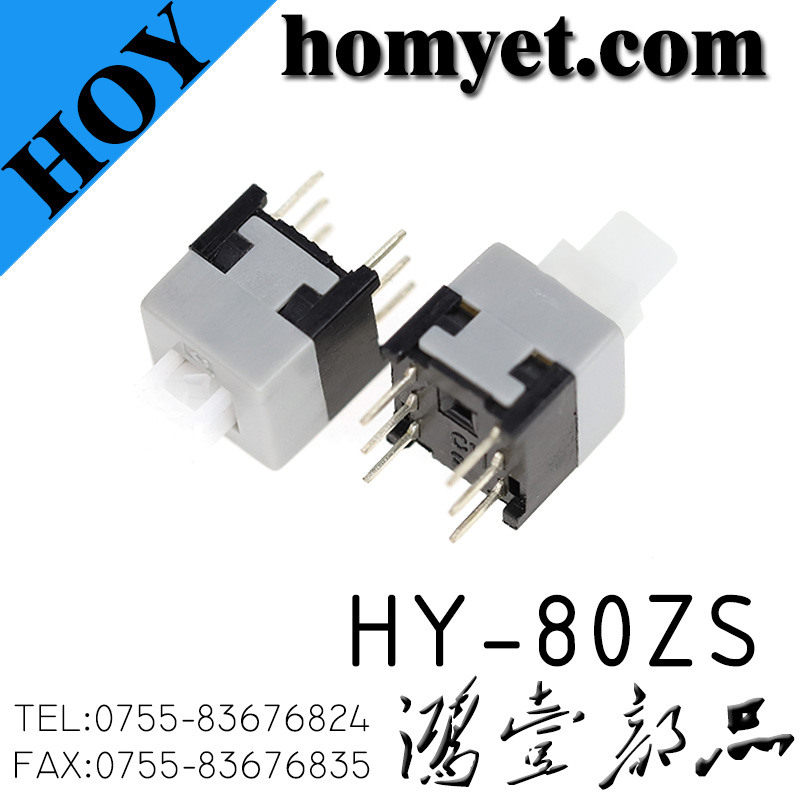 HY-80ZS