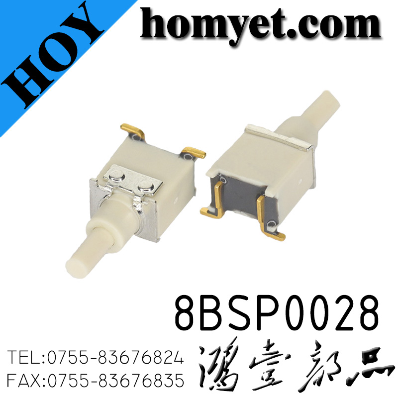8BSP0028