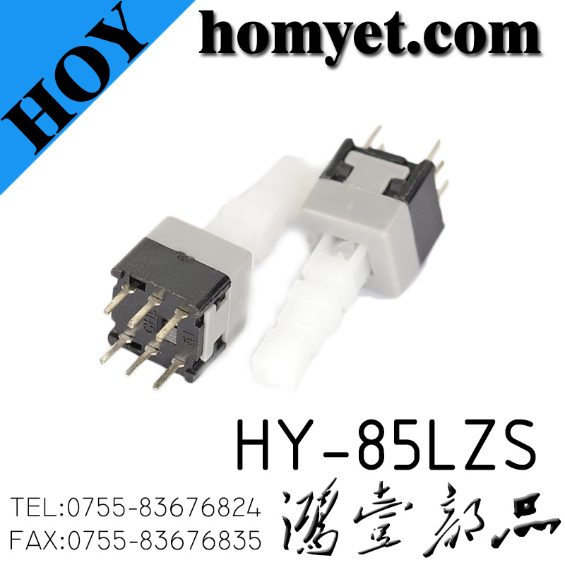 HY-85LZS