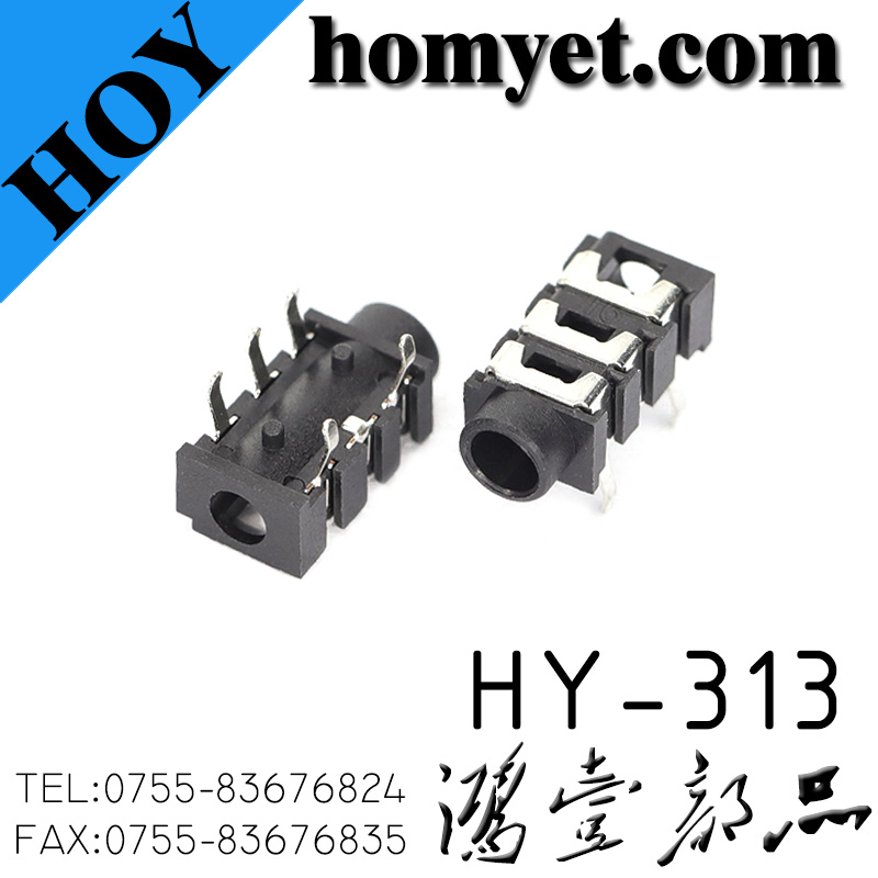 HY-313