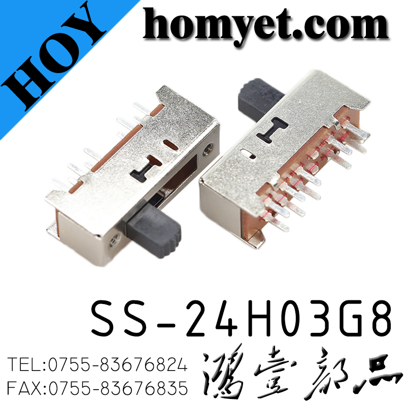 SS-24H03G8