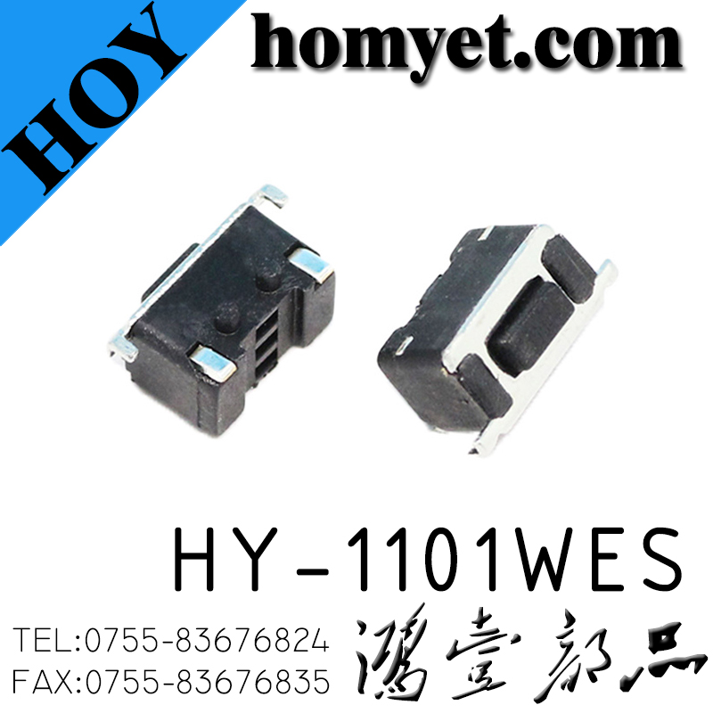 HY-1101WES