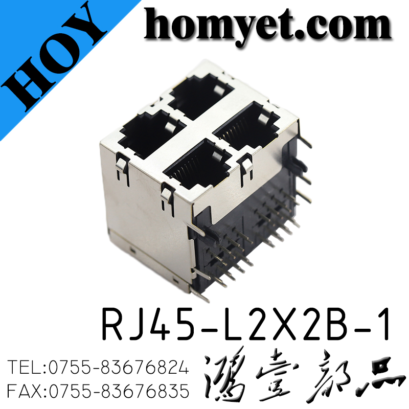RJ45-L2X2B-1