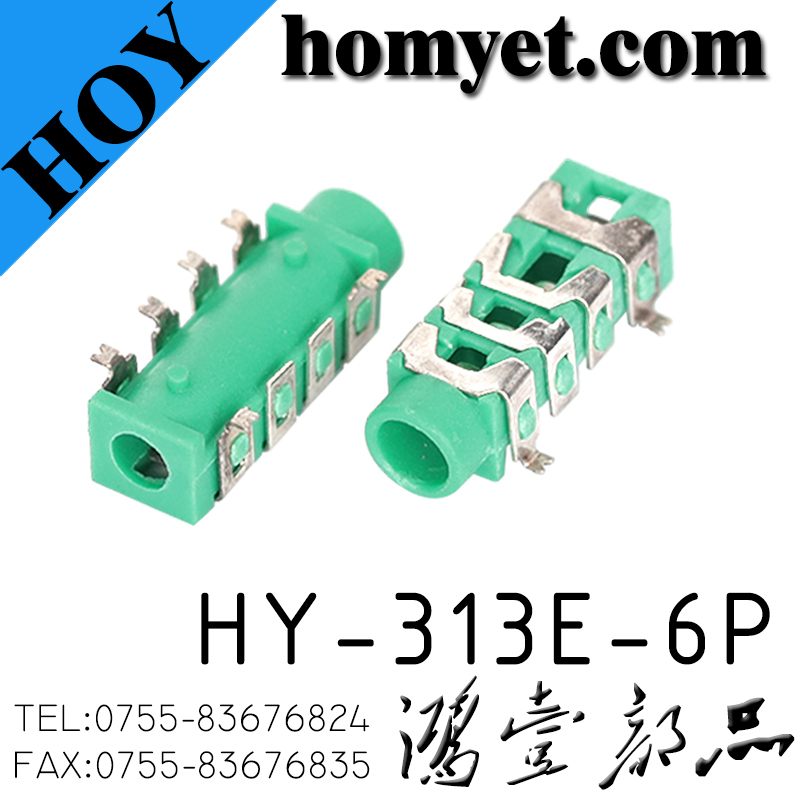 HY-313E-6P