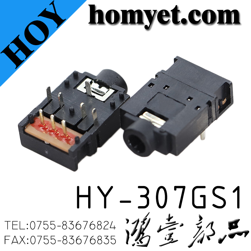 HY-307GS1