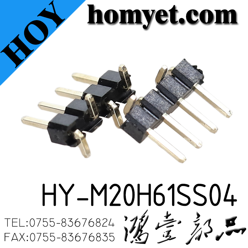 HY-M20H61SS04