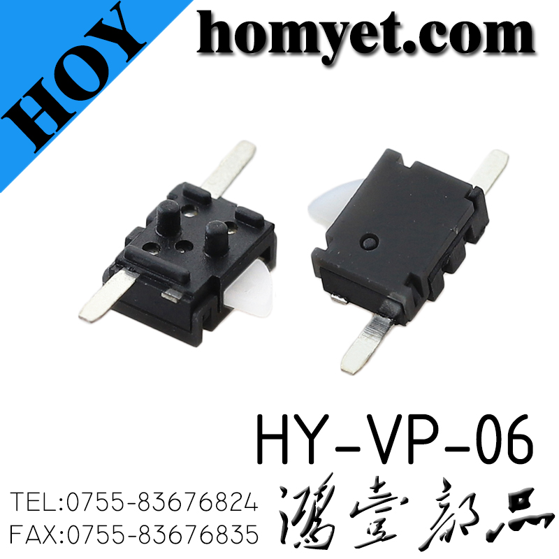 HY-VP-06