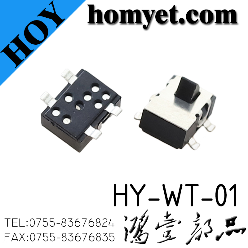 HY-WT-01