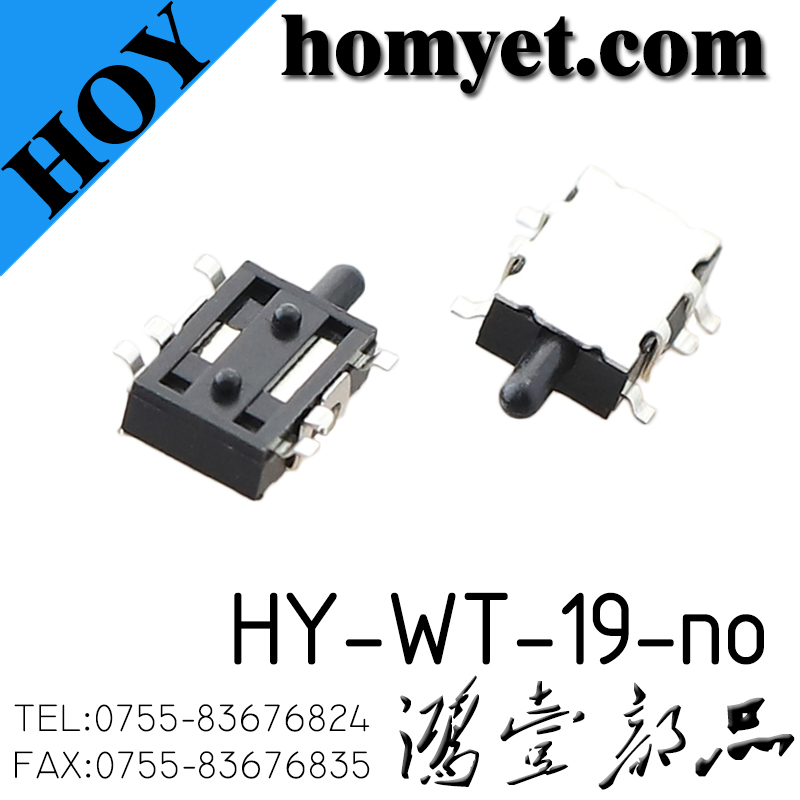HY-WT-19-no