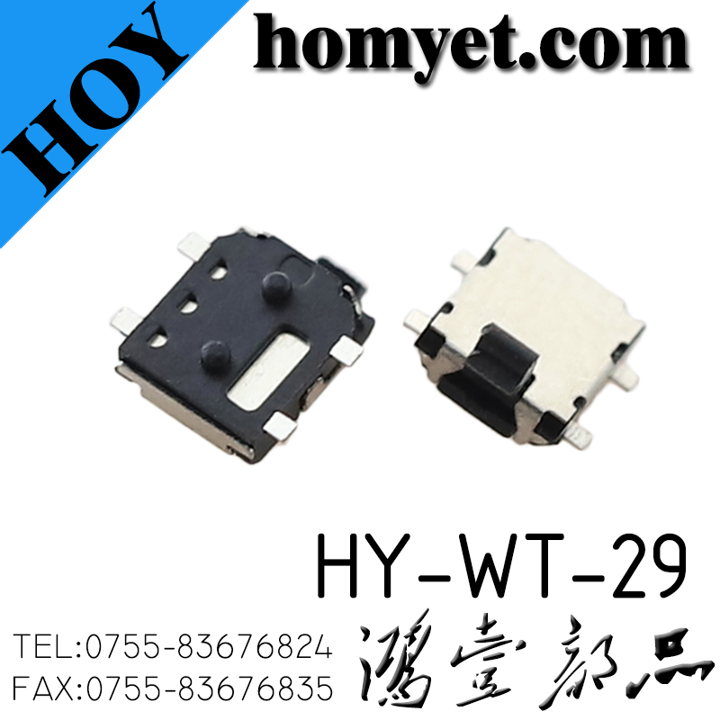 HY-WT-29