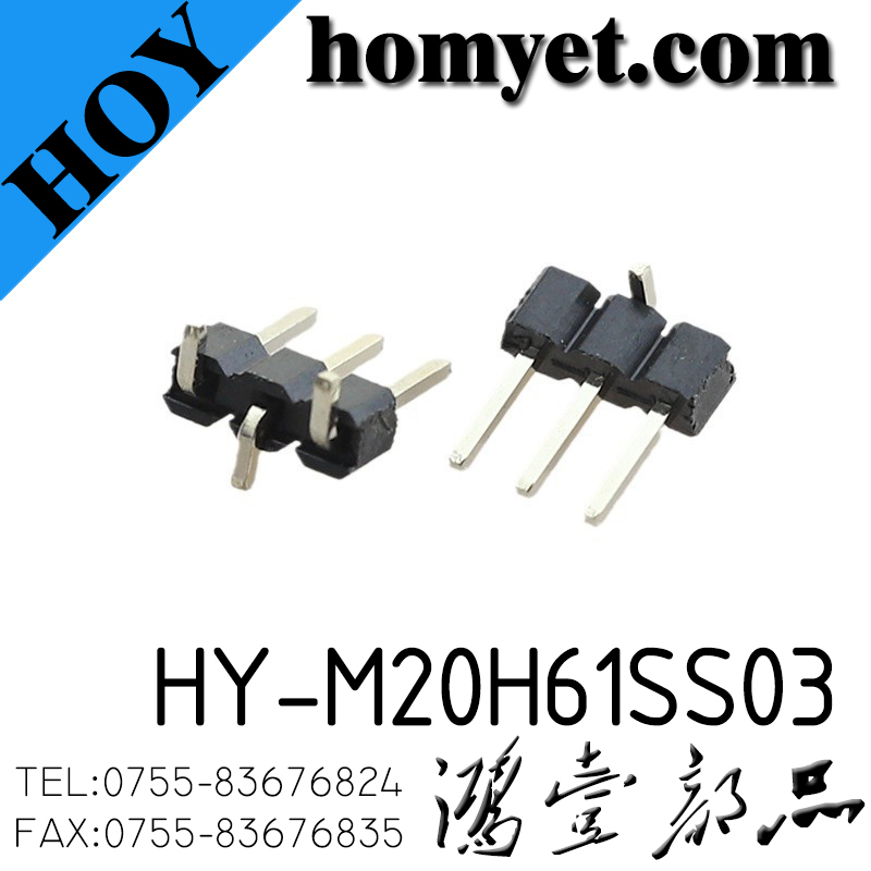 HY-M20H61SS03